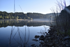 2-pescata-mattutina-Lago-Arvo-Lorica-23-07-2020-ore-7-31