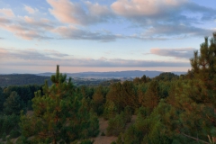 ruana-isa
