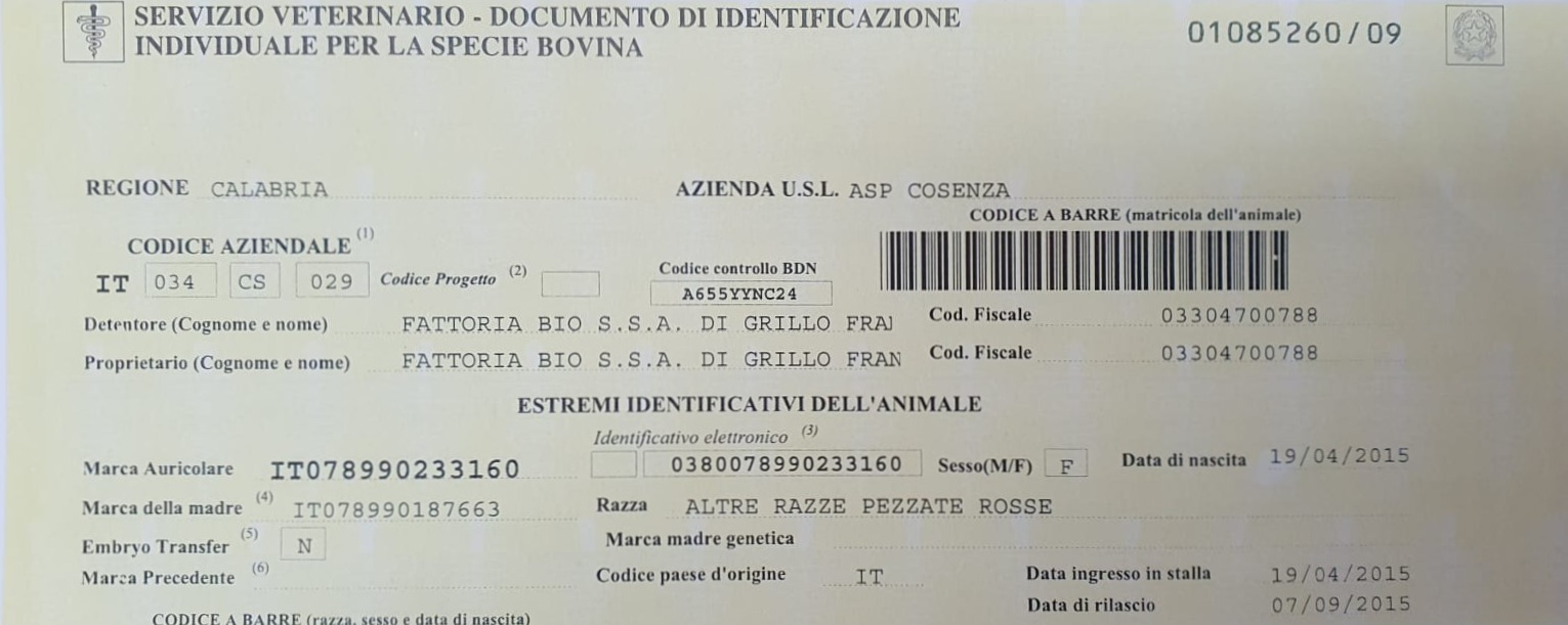identificazione