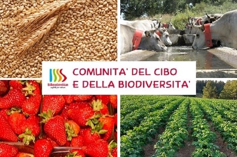 VERSO LA “COMUNITA’ DEL CIBO E DELLA BIODIVERSITA” DELLA SILA AUTENTICA